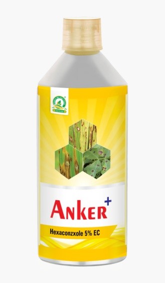 Anker +